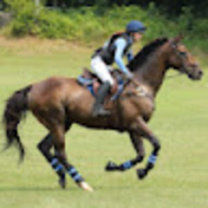 Meet your Posher, Elle